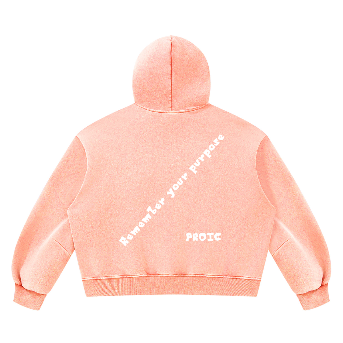 PROIC,clothing,Remember,purpose,hoodie,luxury,vintage,heavyweight
