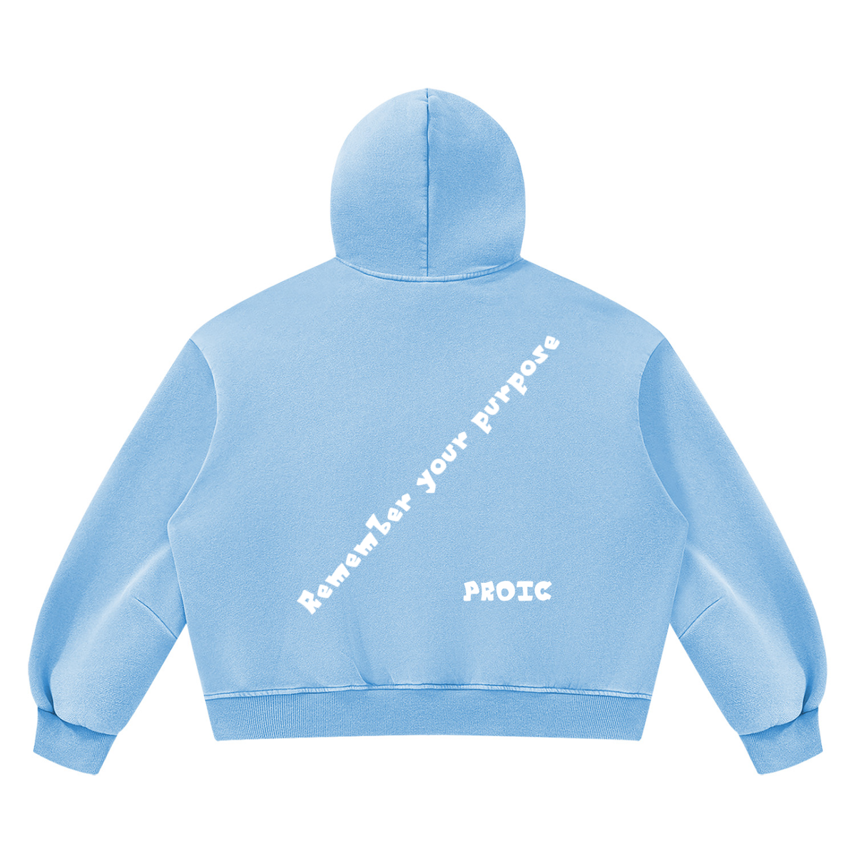 PROIC,clothing,Remember,purpose,hoodie,luxury,vintage,heavyweight