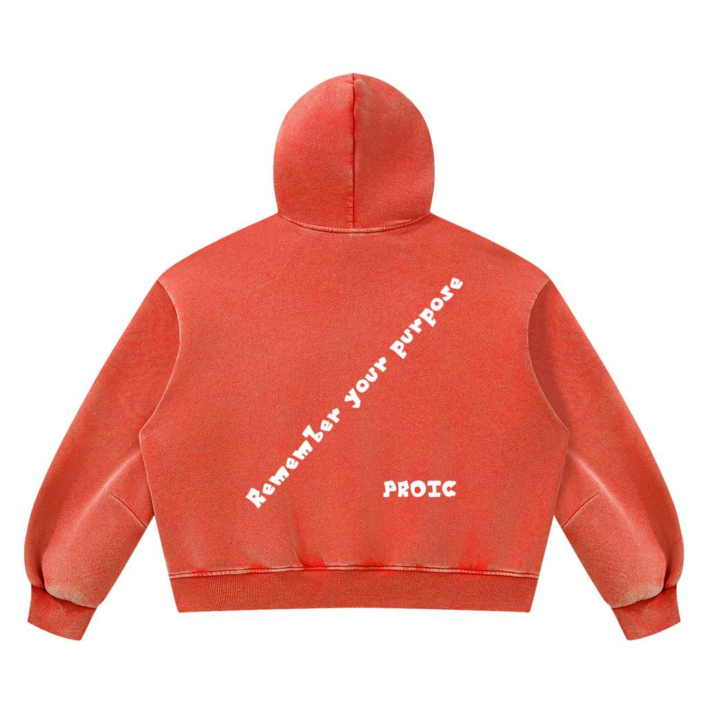 PROIC,clothing,Remember,purpose,hoodie,luxury,vintage,heavyweight