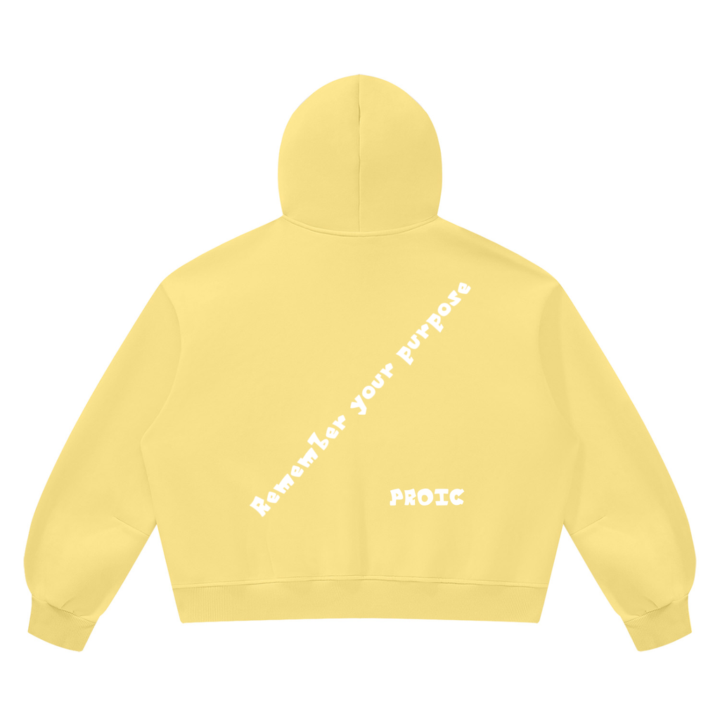 PROIC,clothing,Remember,purpose,hoodie,luxury,vintage,heavyweight