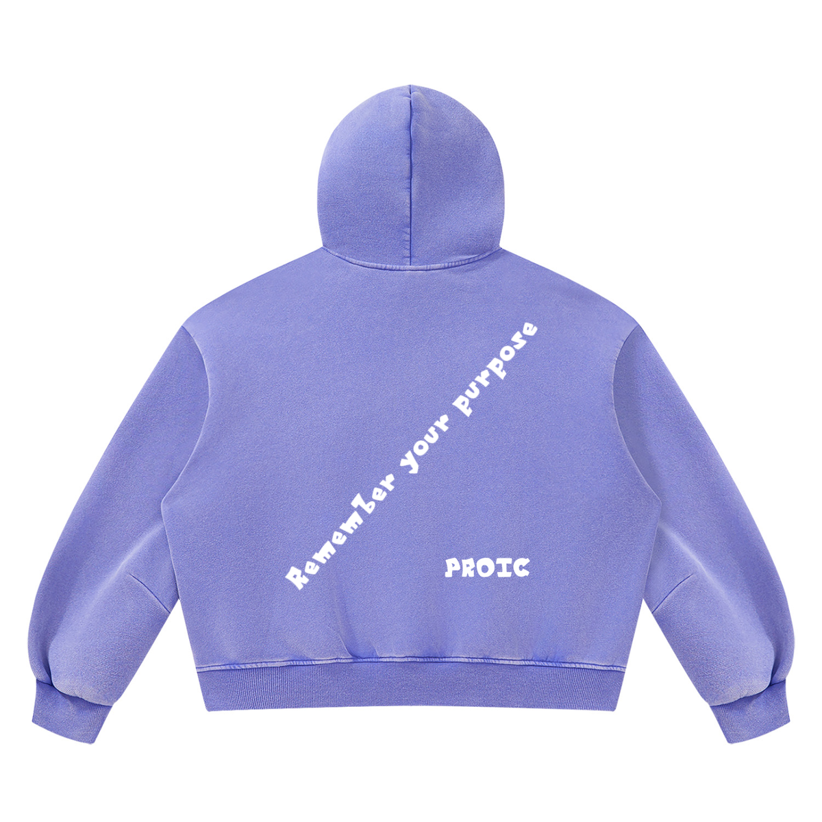 PROIC,clothing,Remember,purpose,hoodie,luxury,vintage,heavyweight