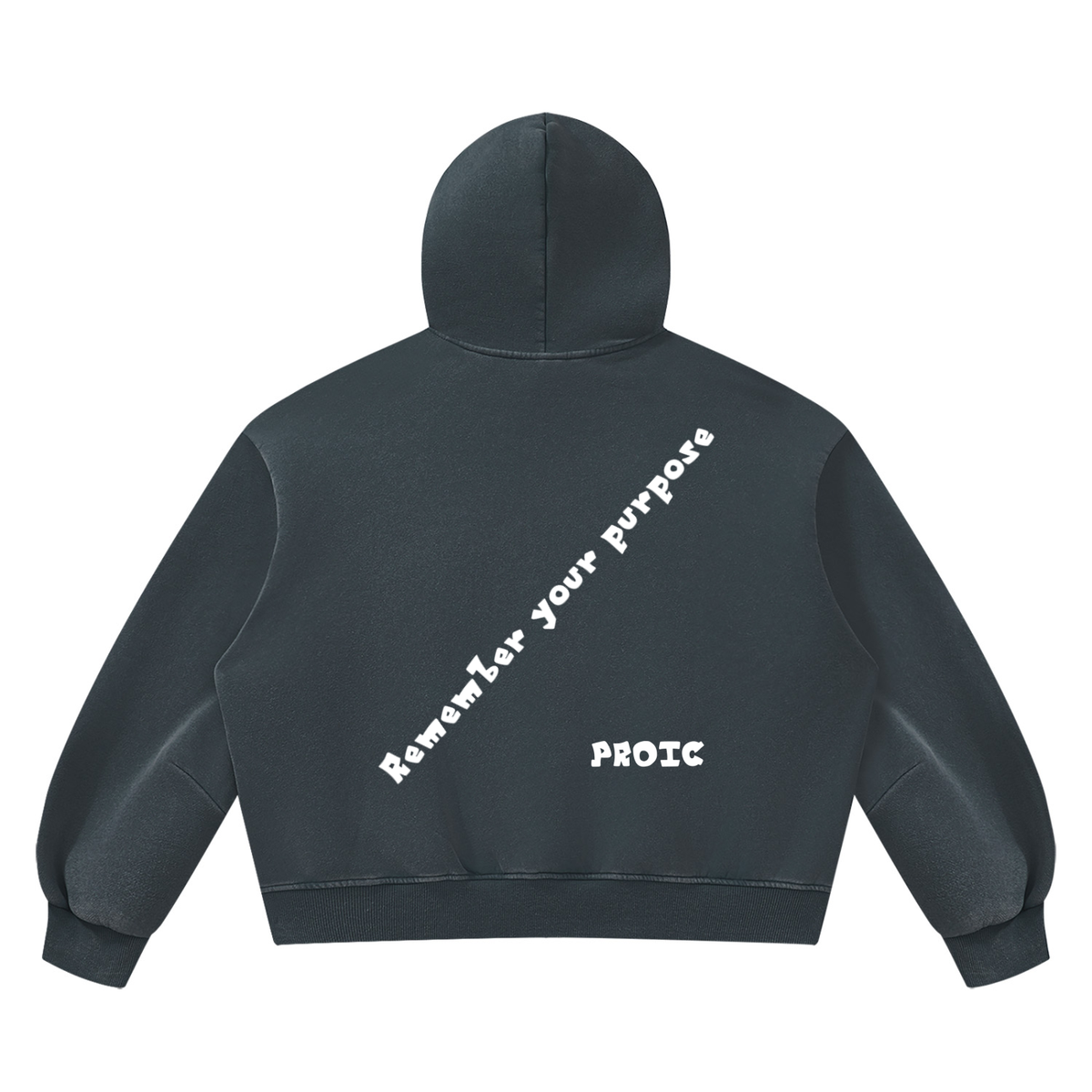 PROIC,clothing,Remember,purpose,hoodie,luxury,vintage,heavyweight